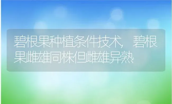 碧根果种植条件技术,碧根果雌雄同株但雌雄异熟 | 养殖学堂