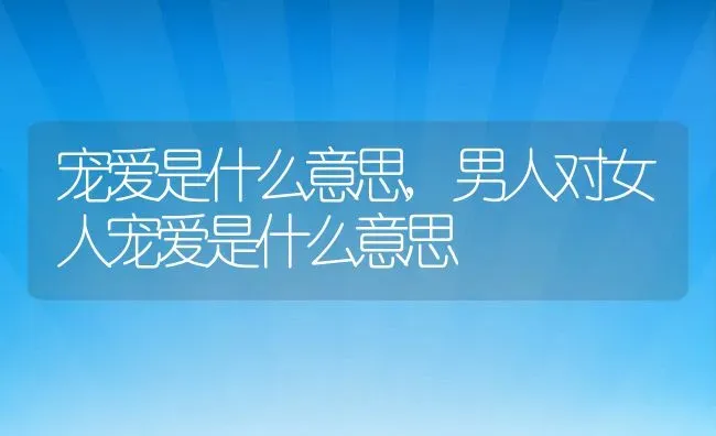 宠爱是什么意思,男人对女人宠爱是什么意思 | 养殖资料