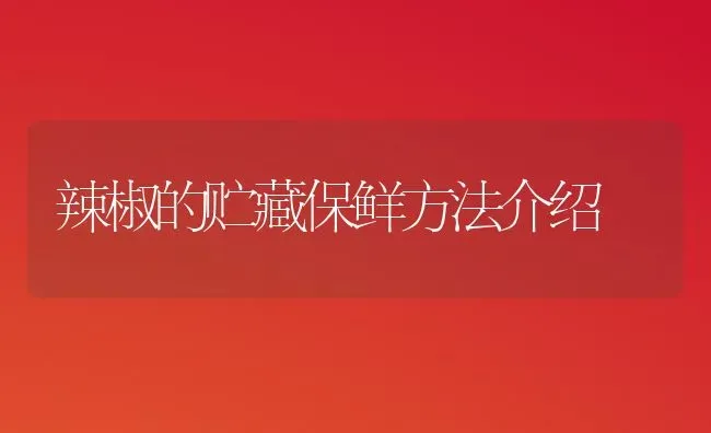 豆角底部叶片发黄咋回事? | 养殖知识