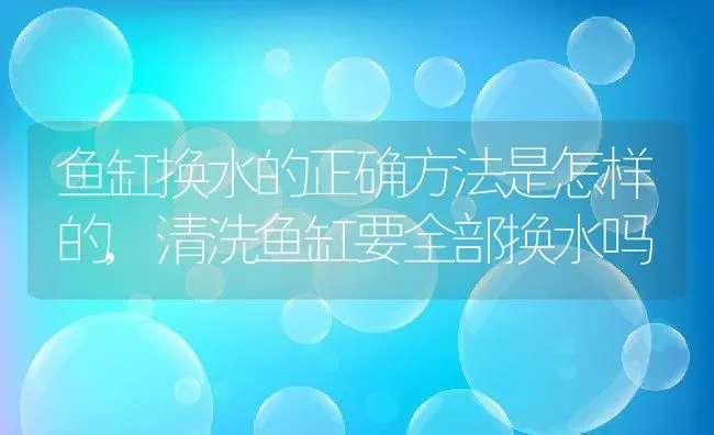 鱼缸换水的正确方法是怎样的,清洗鱼缸要全部换水吗 | 养殖学堂