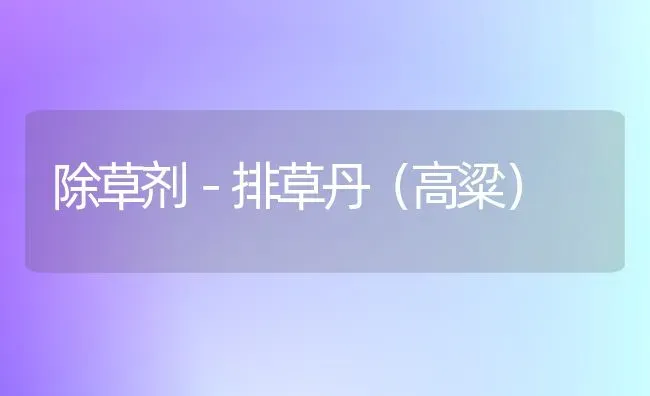 除草剂－排草丹(高粱) | 养殖知识