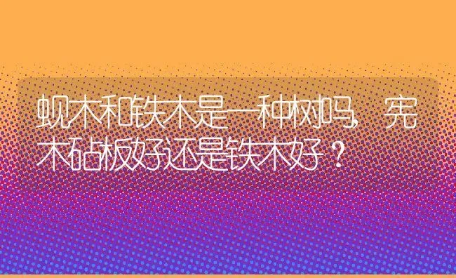 蚬木和铁木是一种树吗,宪木砧板好还是铁木好？ | 养殖科普