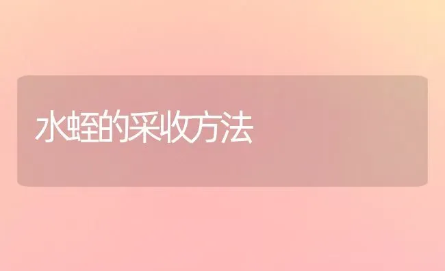 水蛭的采收方法 | 养殖技术大全