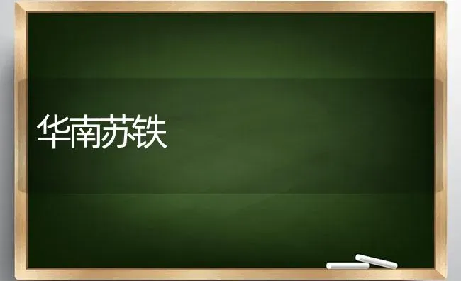 华南苏铁 | 养殖技术大全