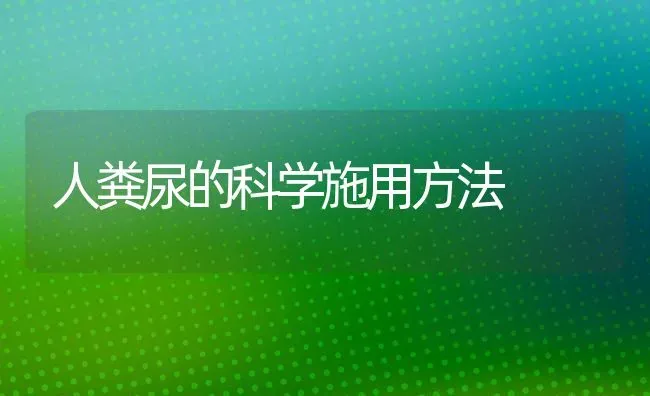 人粪尿的科学施用方法 | 养殖知识