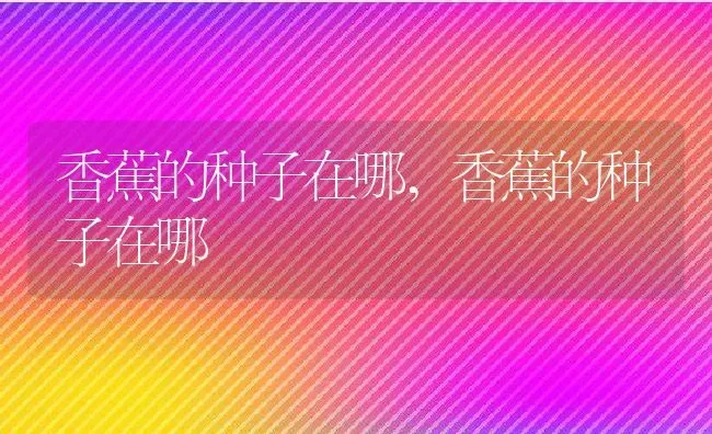 香蕉的种子在哪,香蕉的种子在哪 | 养殖科普