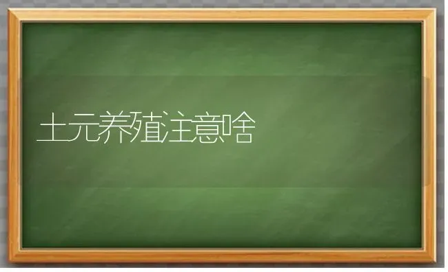 土元养殖注意啥 | 养殖知识