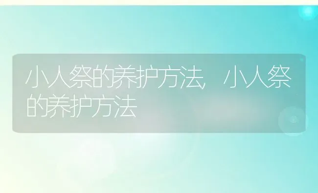 小人祭的养护方法,小人祭的养护方法 | 养殖科普