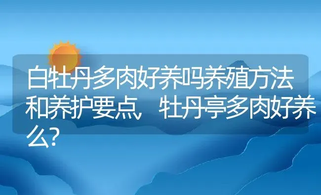 白牡丹多肉好养吗养殖方法和养护要点,牡丹亭多肉好养么？ | 养殖科普