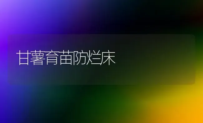 甘薯育苗防烂床 | 养殖知识