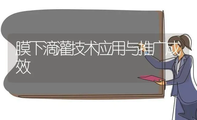 膜下滴灌技术应用与推广成效 | 养殖技术大全
