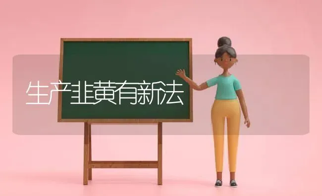 生产韭黄有新法 | 养殖技术大全