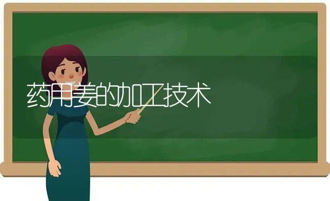 药用姜的加工技术 | 养殖技术大全