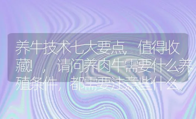 养牛技术七大要点,值得收藏!,请问养肉牛需要什么养殖条件，都需要注意些什么 | 养殖学堂