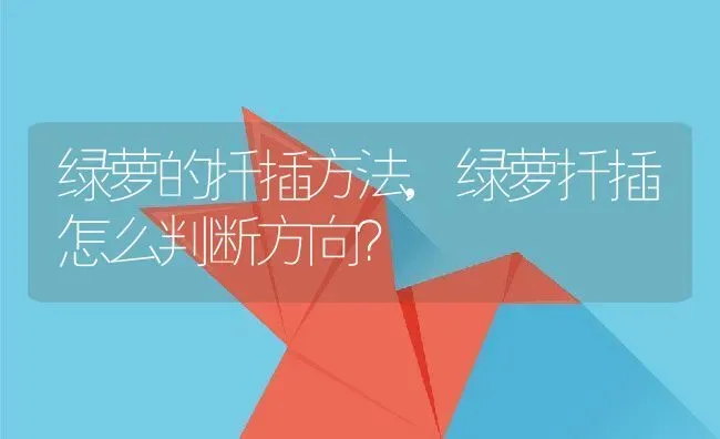 绿萝的扦插方法,绿萝扦插怎么判断方向？ | 养殖科普