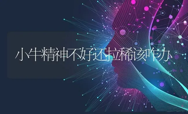 小牛精神不好还拉稀该咋办 | 养殖技术大全