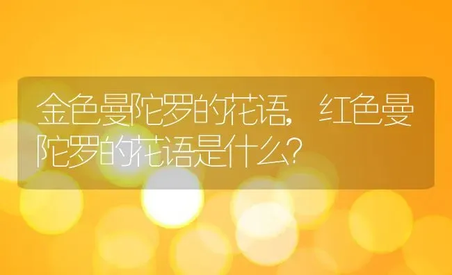 金色曼陀罗的花语,红色曼陀罗的花语是什么？ | 养殖科普