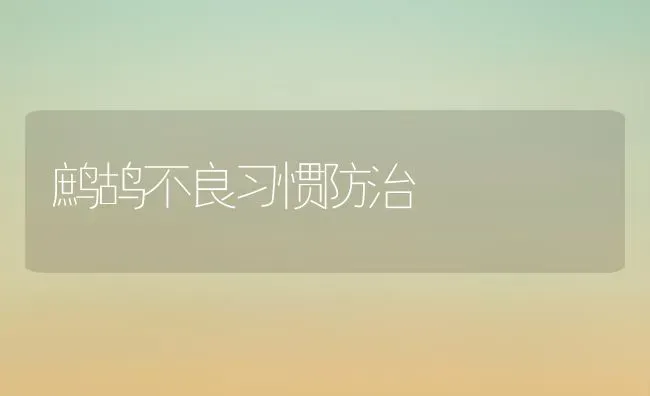 鹧鸪不良习惯防治 | 养殖知识
