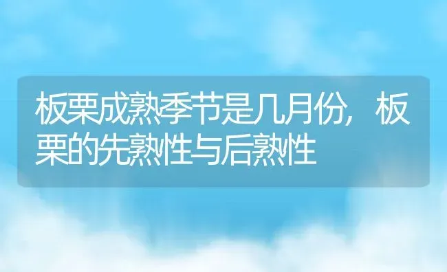 九月菊怎么修剪方法,九菊花几月份栽啊 | 养殖学堂