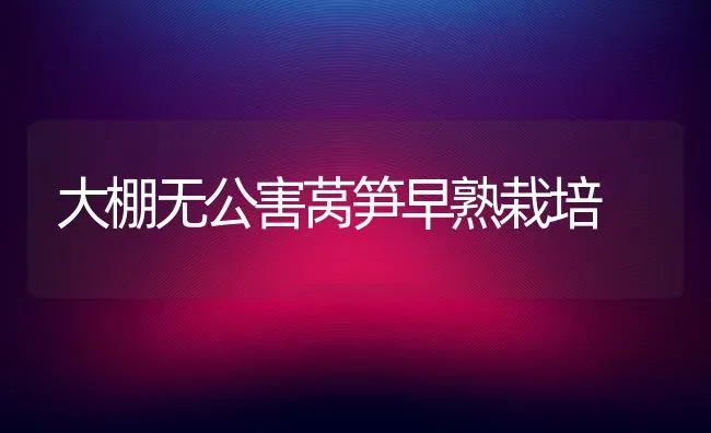 大棚无公害莴笋早熟栽培 | 养殖知识