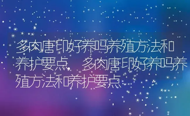 多肉唐印好养吗养殖方法和养护要点,多肉唐印好养吗养殖方法和养护要点 | 养殖科普