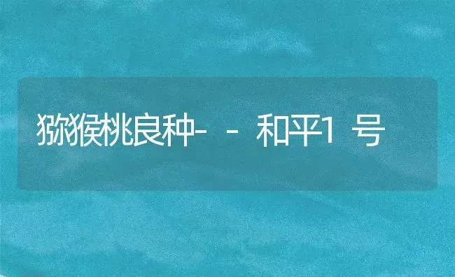 猕猴桃良种--和平1号 | 养殖技术大全