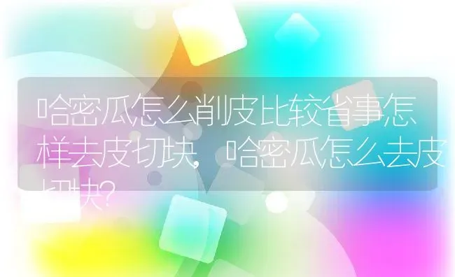 哈密瓜怎么削皮比较省事怎样去皮切块,哈密瓜怎么去皮切块？ | 养殖科普