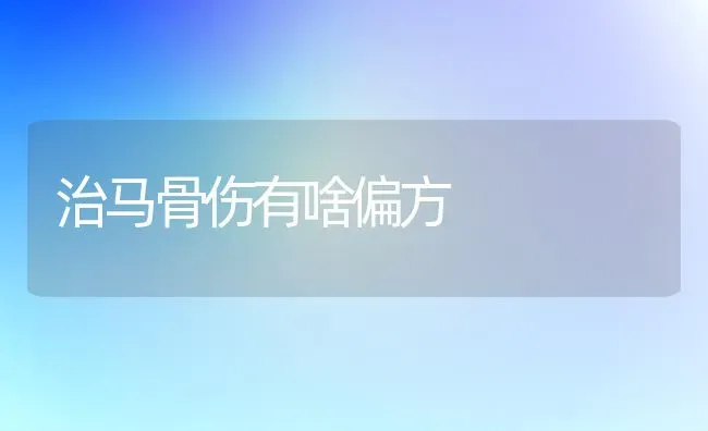 治马骨伤有啥偏方 | 养殖知识