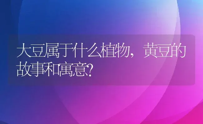 大豆属于什么植物,黄豆的故事和寓意？ | 养殖科普