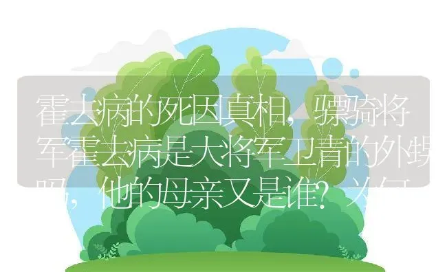 霍去病的死因真相,骠骑将军霍去病是大将军卫青的外甥吗，他的母亲又是谁？为何 | 养殖学堂