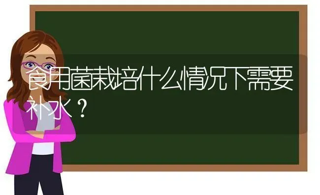 食用菌栽培什么情况下需要补水? | 养殖知识