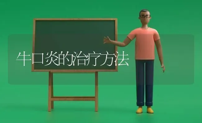 牛口炎的治疗方法 | 养殖技术大全