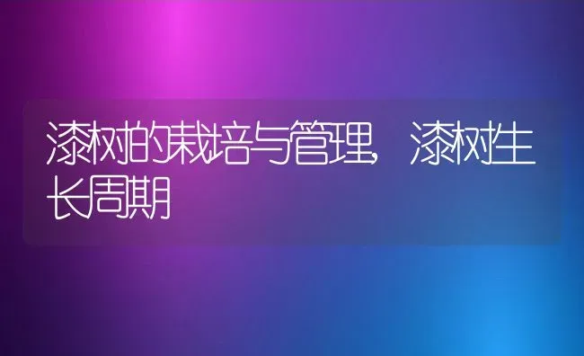 漆树的栽培与管理,漆树生长周期 | 养殖学堂
