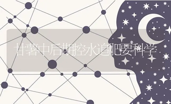 甘薯中后期控水追肥要科学 | 养殖技术大全