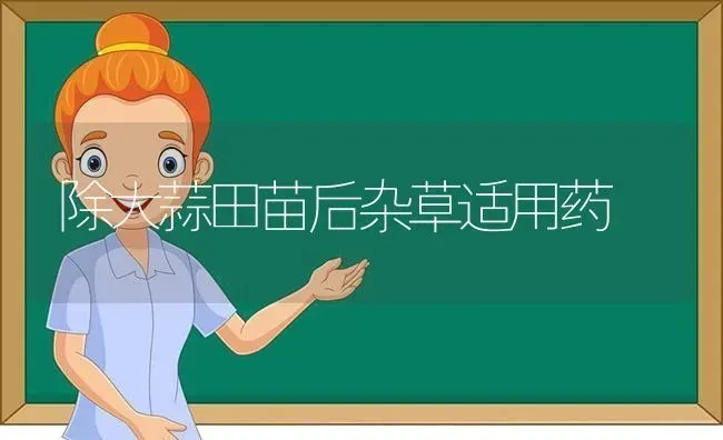 除大蒜田苗后杂草适用药 | 养殖技术大全