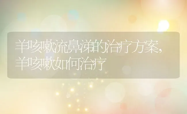 羊咳嗽流鼻涕的治疗方案,羊咳嗽如何治疗 | 养殖学堂