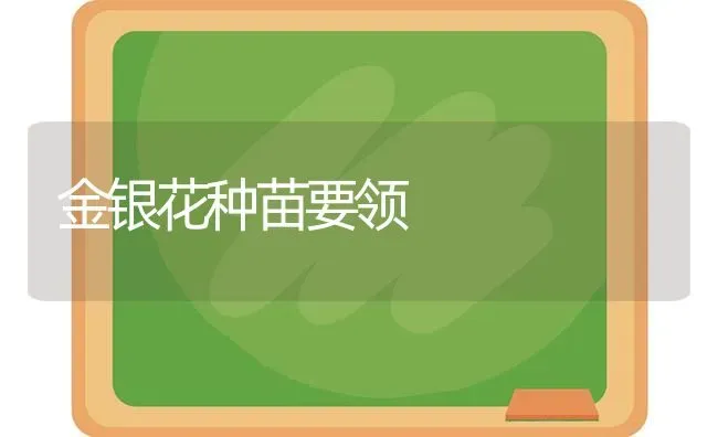 金银花种苗要领 | 养殖知识