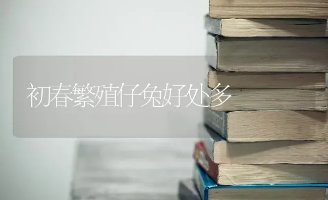 如何养牛节粮又增效 | 养殖技术大全