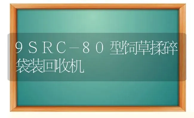 9SRC-80型饲草揉碎袋装回收机 | 养殖技术大全