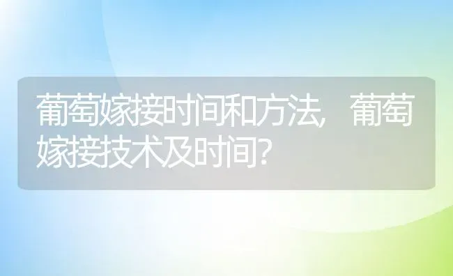 葡萄嫁接时间和方法,葡萄嫁接技术及时间？ | 养殖科普