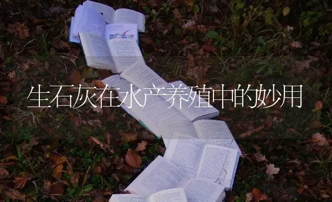 生石灰在水产养殖中的妙用 | 养殖技术大全