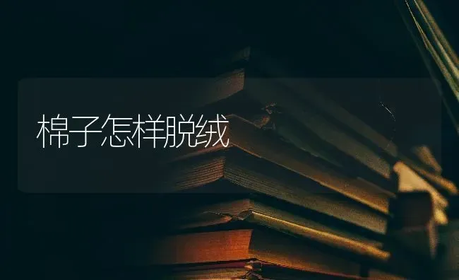 棉子怎样脱绒 | 养殖技术大全