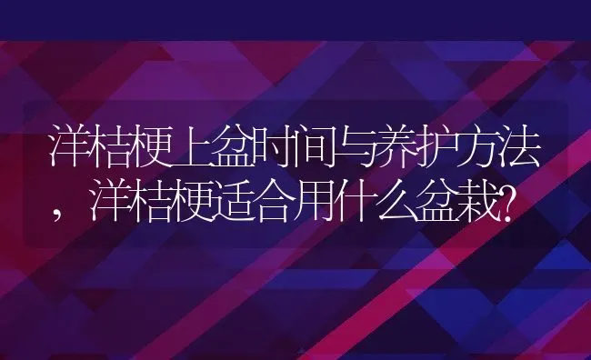 洋桔梗上盆时间与养护方法,洋桔梗适合用什么盆栽？ | 养殖科普