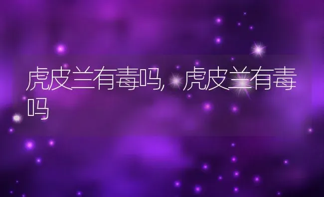 虎皮兰有毒吗,虎皮兰有毒吗 | 养殖科普