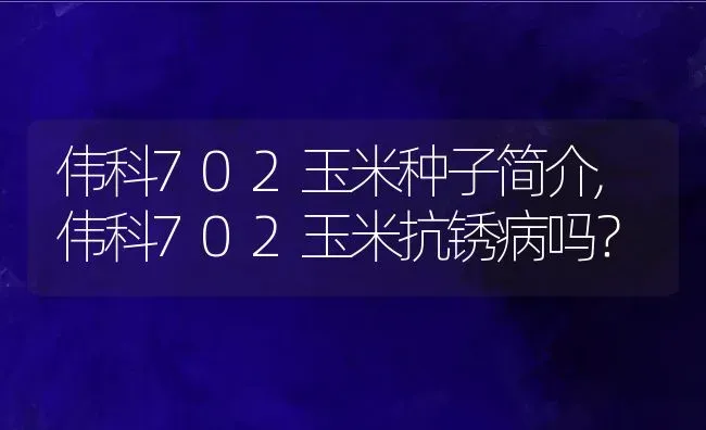 伟科702玉米种子简介,伟科702玉米抗锈病吗？ | 养殖科普