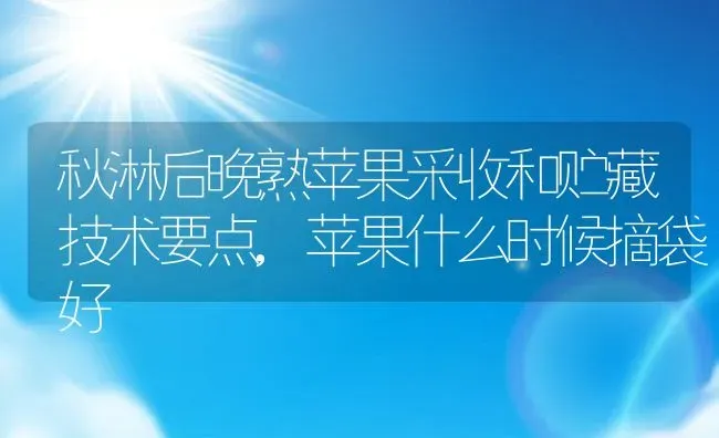 秋淋后晚熟苹果采收和贮藏技术要点,苹果什么时候摘袋好 | 养殖学堂