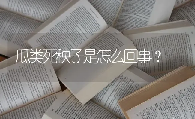 瓜类死秧子是怎么回事? | 养殖知识