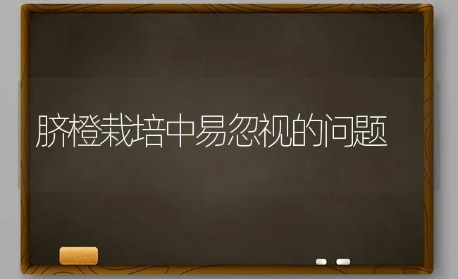 脐橙栽培中易忽视的问题 | 养殖技术大全