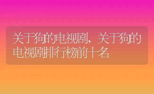 关于狗的电视剧,关于狗的电视剧排行榜前十名 | 养殖资料