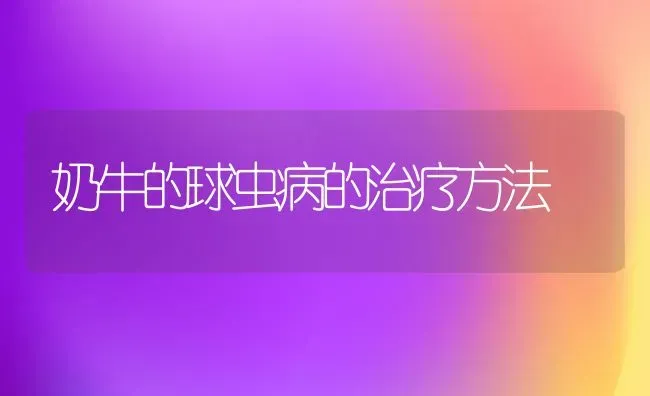 奶牛的球虫病的治疗方法 | 养殖技术大全